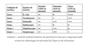 tableau endobiogénie