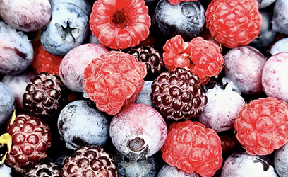fruits anti inflammatoires - Endobiogénie