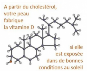 fabrication vitamile D