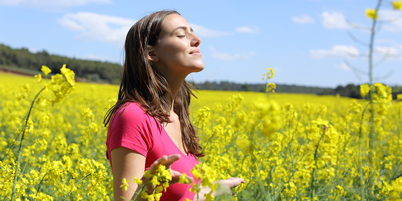 soleil vitamine d - endobiogénie