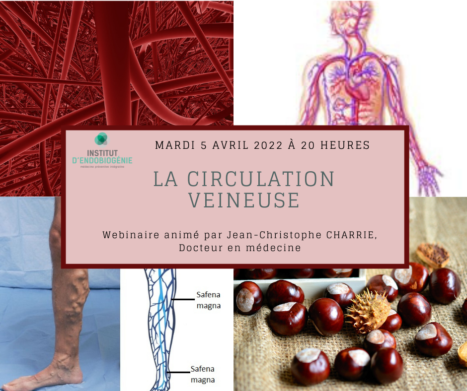 Webinaire circulation veineuse - endobiogénie