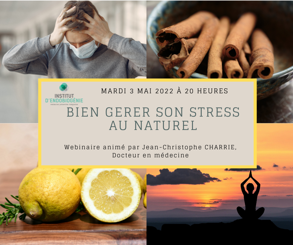 Webinaire gérer son stress - endobiogénie