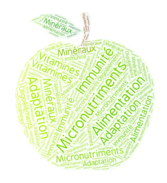 Micronutriments- Endobiogénie