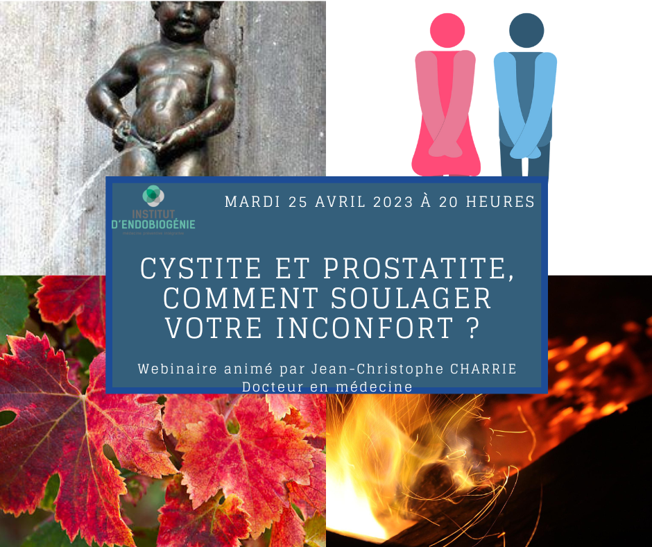 Webinaire cystite et prostatite, comment soulager votre inconfort ?