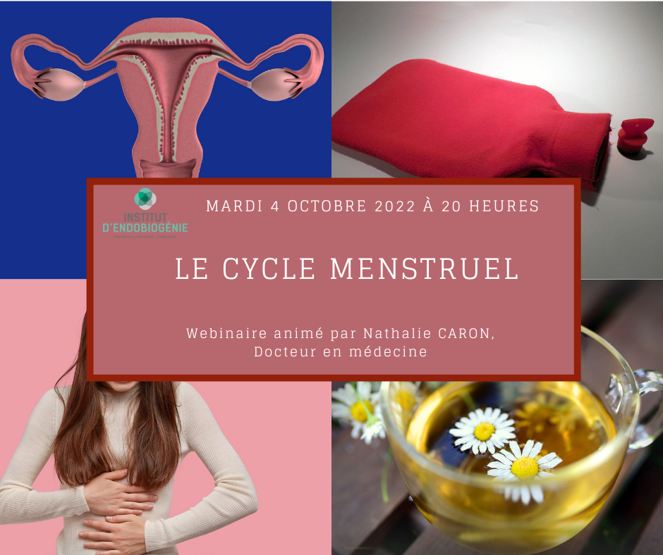Webinaire le cycle menstruel