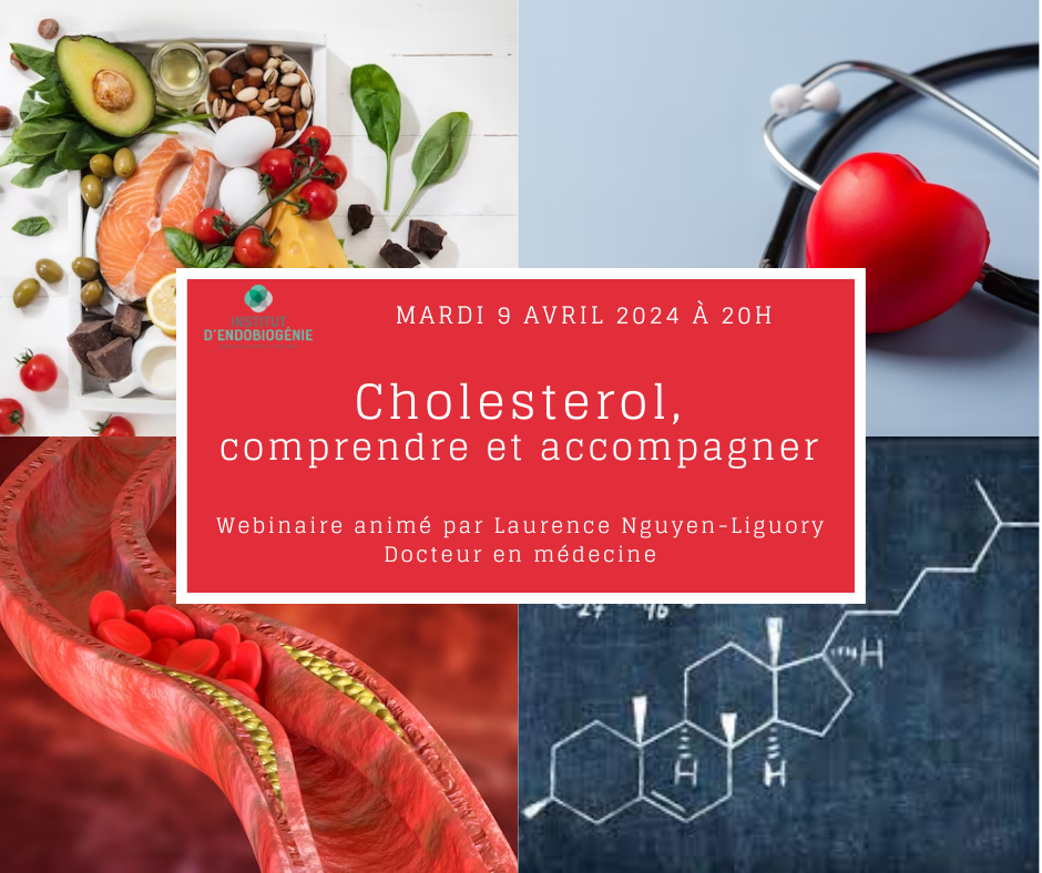 Webinaire endobiogénie avril 2024 "Cholestérol, comprendre et accompagner"