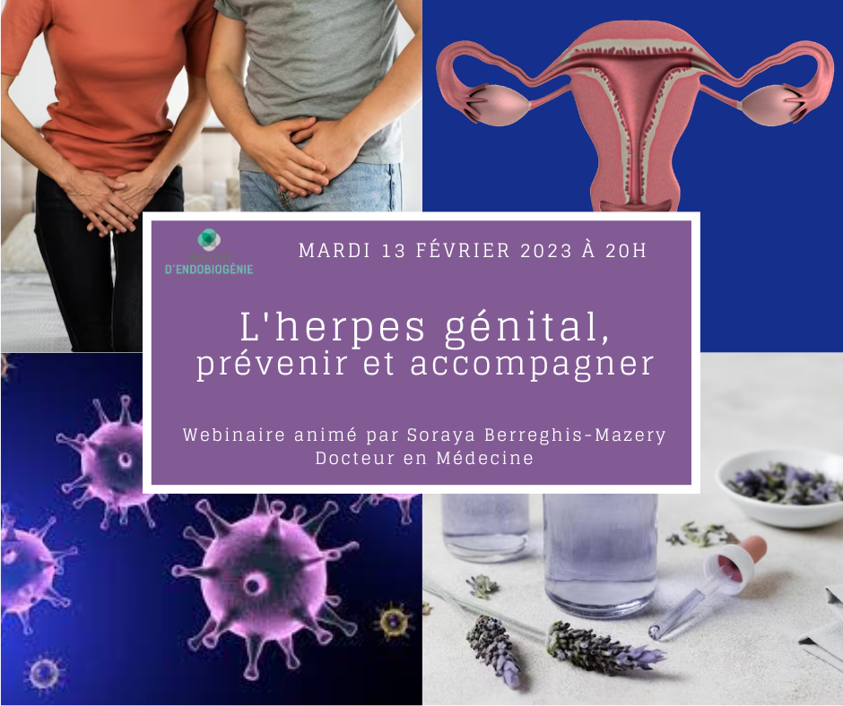 Webinaire février 2024 L'herpes génital, prévenir et accompagner