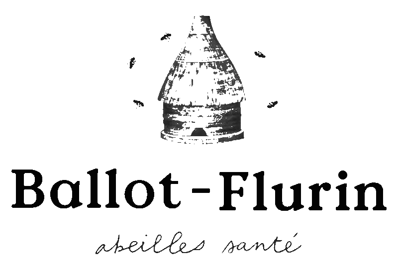 Ballot-Flurin