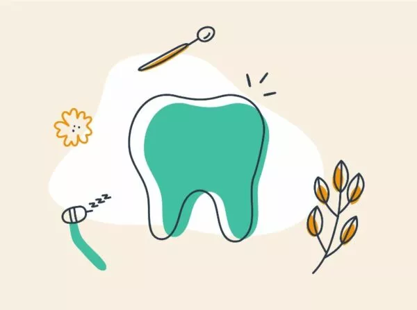 Formation : Phytothérapie clinique et gestion du terrain en pratique dentaire