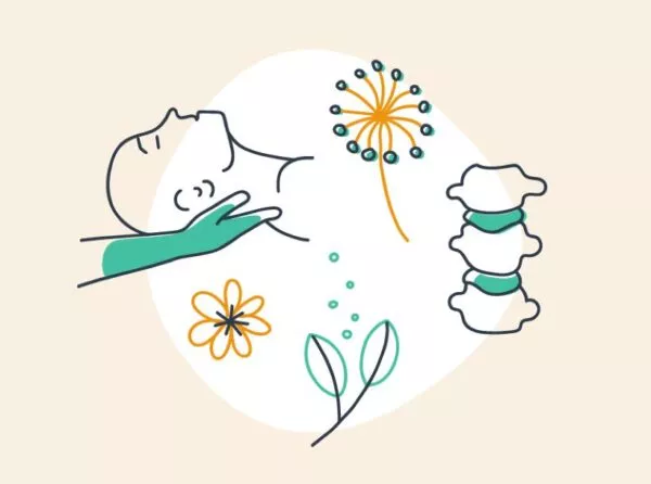Formation : Phytothérapie clinique et gestion du terrain pour les kinésithérapeutes et ostéopathes