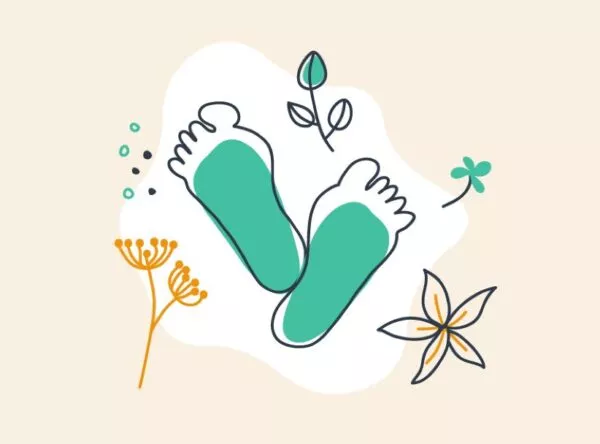 Formation : Phytothérapie clinique et gestion du terrain pour les pédicures podologues