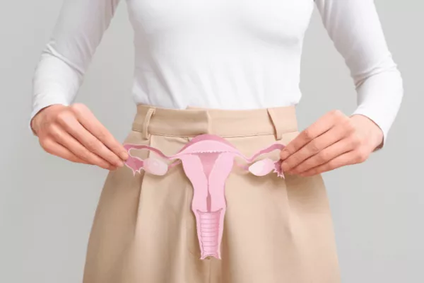 Formation : Le cycle de la femme et troubles du cycle féminin en physiologie intégrative