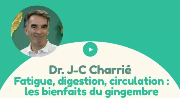 gingembre podcast